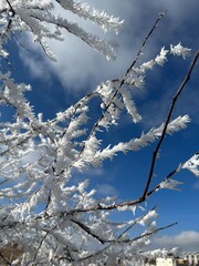 Ice crystals