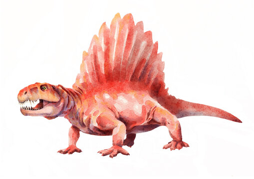 Dimetrodon. Prehistoric animal. Watercolor drawing.