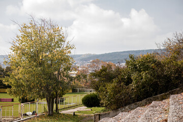 Rural landscape showing a lone tree with yellow-green autumn leaves next to gravel steps and a fenced grassy field with distant buildings