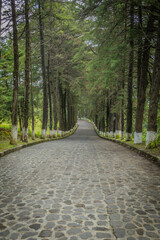 The Estribo Grande en Patzcuaro, Michoacan