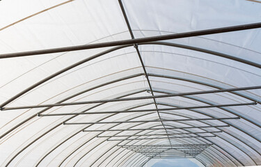 Metal framework and translucent plastic roof structure of a modern greenhouse tunnel