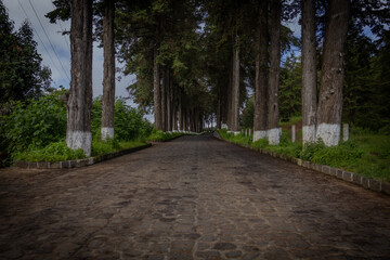The Estribo Grande en Patzcuaro, Michoacan
