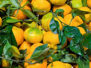 Tangerines with leaves