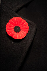 Coquelicot sur manteau, 11 novembre, rouge et noir, vertical