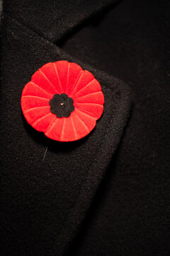 Coquelicot sur manteau, 11 novembre, rouge et noir, vertical