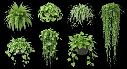 Collection of Assorted Green Potted Hanging Plants Against A Dark Background With Subtle Light Effects