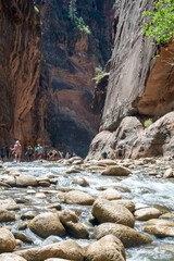 Hiking the Narrows of Zion National Park along the Virgin River at midday