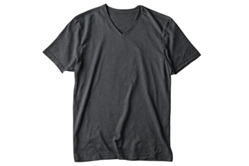 Gray V-neck t-shirt, front view
