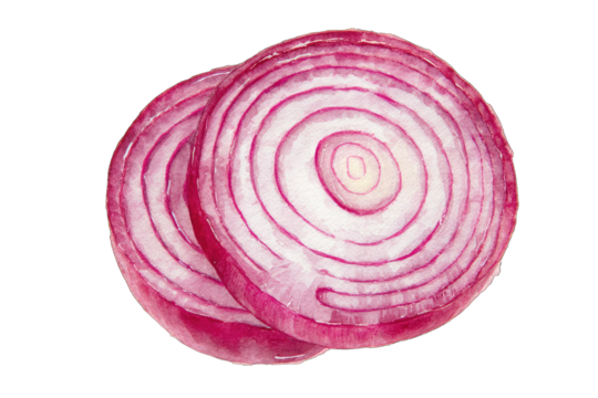 Two sliced red onions, close-up