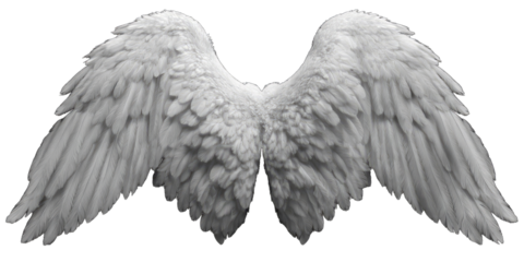 Pair of large, detailed white angel wings (1)