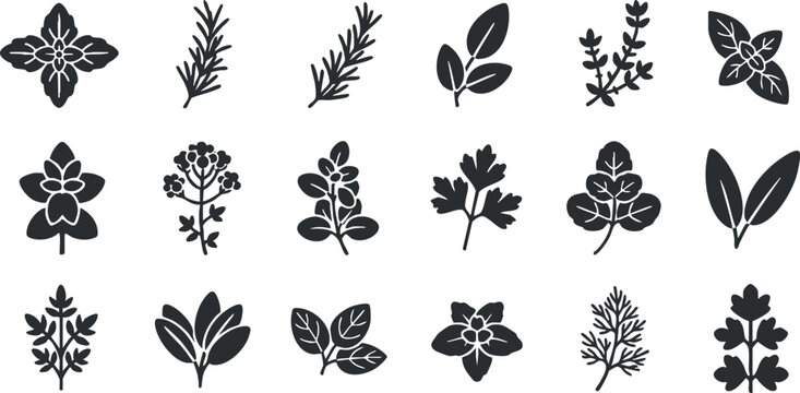 Silhouette vector icon set featuring various herbs and leaves for botanical design, gardening, and culinary projects