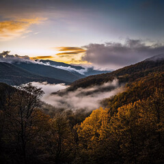 Majestic autumn landscape with fog over mountains and colorful foliage at sunset