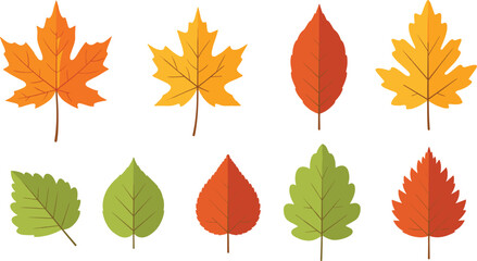 Stylized leaf icon set, seasonal foliage illustration, autumn and summer leaves, nature design elements, flat vector botanical artwork