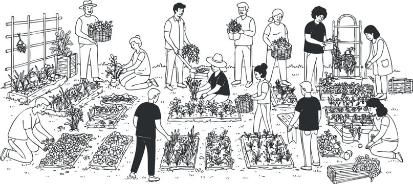 Detailed black and white vector illustration of a community gardening scene with diverse people planting and harvesting vegetables