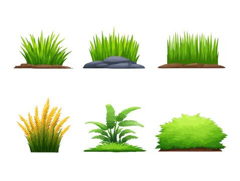Green grass bush and plant set with soil and stone isolated on transparency background includes yellow grass leafy shrub and tropical foliage perfect for landscape design and garden decoration