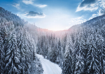 Winter sunset landscape snowy pine forest road