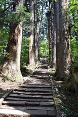 羽黒山の杉並木 三ツ星認定地 山形県鶴岡市