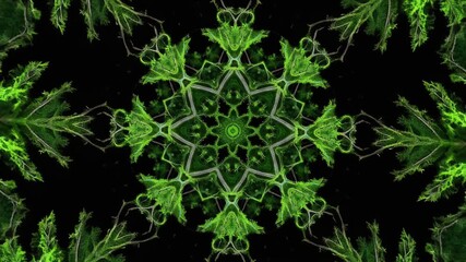 A symmetrical green fractal pattern resembling a snowflake or star, created from natural plant elements against a dark background. - Powered by Adobe