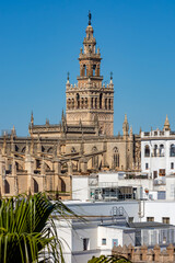 Obraz premium Giralda tower of Seville cathedral over old town, Spain