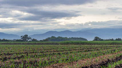 Wide view of a fertile mountain valley with lush fields, scattered farms, and rolling hills under soft daylight. Ideal for rural lifestyle, agriculture, and landscape themes.