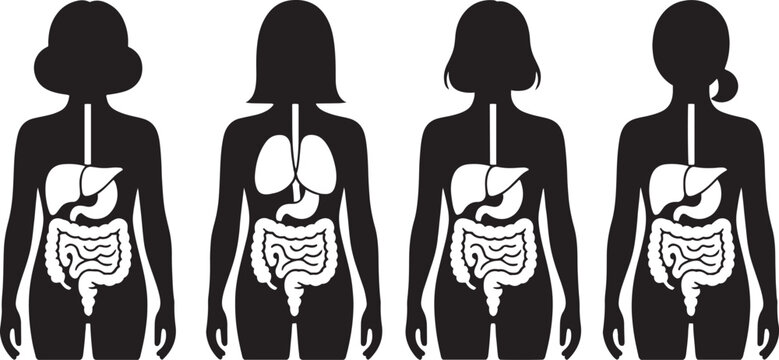 Collection of black and white vector silhouettes of women showing internal organs liver stomach intestines and lungs