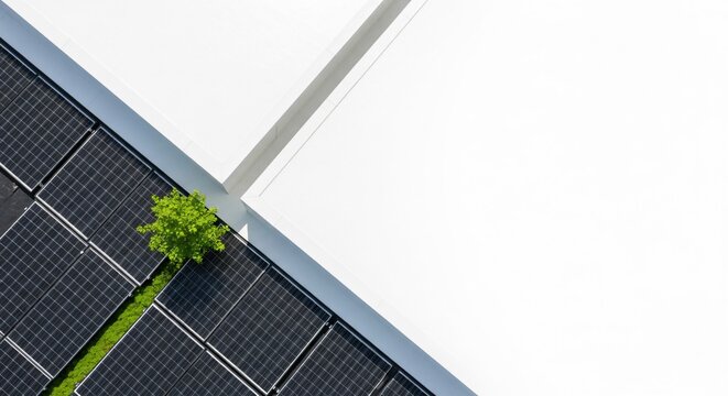 Sustainable Rooftop: Solar Panels and Green Tree, Aerial View perfect for website banner, environmental reports, sustainability campaigns,