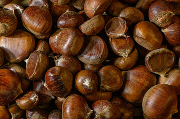 Scatter of Edible Chestnuts Close-Up Background with Glossy Skin and Warm Tones