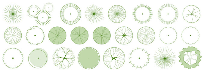 CAD project trees in top view, editable vector on white background, landscape design and architectural project, elements for environment and garden.