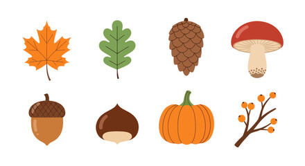 Autumnal elements collection leaves pinecone acorn chestnut and pumpkin