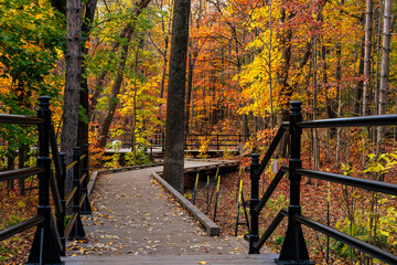 Elevated walkway along a hiking trail on a crisp autumn afternoon in a forest, wooded nature area, park.