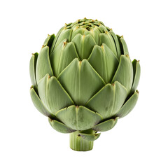 Green artichoke isolated. Cutout 
