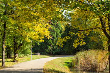 Naklejka premium Autumn Landscape of South Park in city of Sofia, Bulgaria