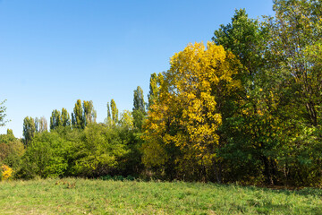 Autumn Landscape of South Park in city of Sofia, Bulgaria