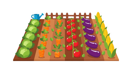 Naklejka premium A garden plot with rows of vegetables and a watering can
