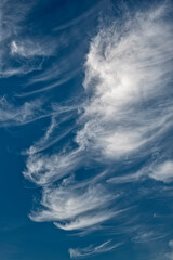 Vom H&ouml;henwind durchk&auml;mmte, wei&szlig;e, filigrane Strukturen von Schleiherwolken (Cirrostratus) vor blauem Himmelshintergrund