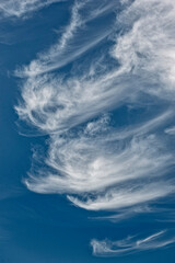 Vom H&ouml;henwind durchk&auml;mmte, wei&szlig;e, filigrane Strukturen von Schleiherwolken (Cirrostratus) vor blauem Himmelshintergrund