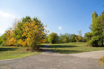 Autumn Landscape of South Park in city of Sofia, Bulgaria