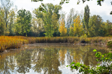 Autumn Landscape of South Park in city of Sofia, Bulgaria