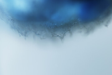 Fungal spoilage of contaminated egg tart after a week on the shelf