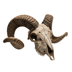 Goat Skull With Lon Horns isolated on transparent background, PNG 