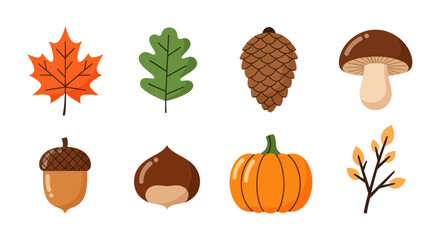 Autumnal elements leaves pinecone mushroom and more isolated on white