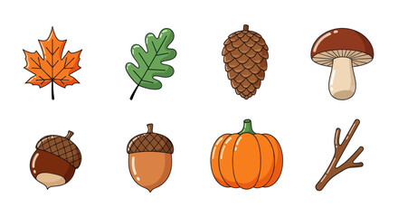 Autumnal elements vector illustration leaves acorns pine cone mushroom