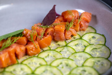 Salmon tartar with cucumber