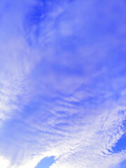 秋空　鱗雲　鰯雲