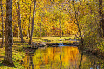 Sunny view of the beautiful autumn landscape in Dogwood Canyon Nature Park