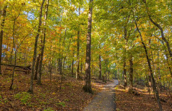 Sunny exterior view of the trail of Ruth and Paul Henning Conservation Area