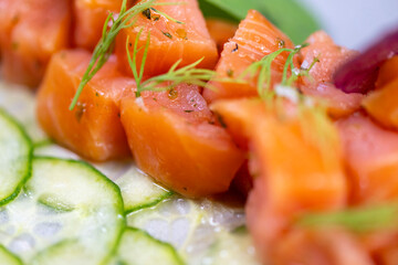 Salmon tartar with cucumber