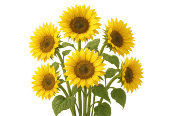 Fototapeta premium Bunch of vibrant yellow sunflowers with green leaves and stems, creating a natural bouquet, transparent background