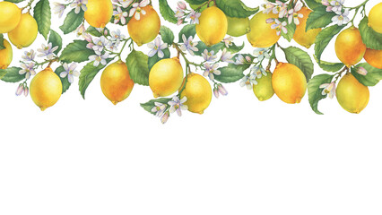Postcard, template, border with fresh citrus yellow lemons fruit, blooming lemon tree branches and flowers. Watercolor hand drawn illustration isolated on white background
