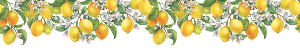 Postcard, template, border with fresh citrus yellow lemons fruit, blooming lemon tree branches and flowers. Watercolor hand drawn illustration isolated on white background	
